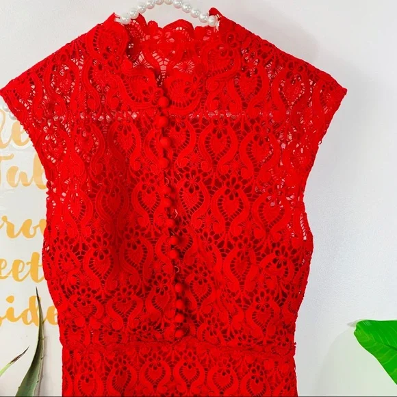 MIKAEL AGHAL Red Lace Sleeveless Midi Dress Size 2 - Picture 10 of 15